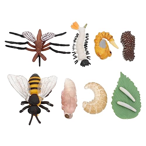 VICASKY 2 Sets Simulation Wachstumszyklus Figuren Tier Frosch Figuren Kleinkinderspielzeug Zoo Bienen Babys Babyspielzeug Tierleben Wachstumszyklus Modell Outdoor Kunststoff VICASKY 2 Sets Simulation Wachstumszyklus Figuren Tier Frosch Figuren Kleinkinderspielzeug Zoo Bienen Babys Babyspielzeug Tierleben Wachstumszyklus Modell Outdoor Kunststoff von VICASKY