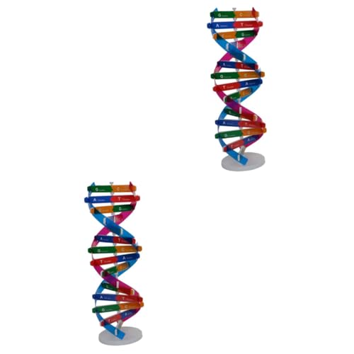 VICASKY 2 Stück DIY DNA Doppelhelix Modell Teiliges für Naturwissenschaftliche Experimente Biologisches Lernspielzeug zur Genetikvermittlung Pädagogisches Wissenschaftswerkzeug für Schule von VICASKY