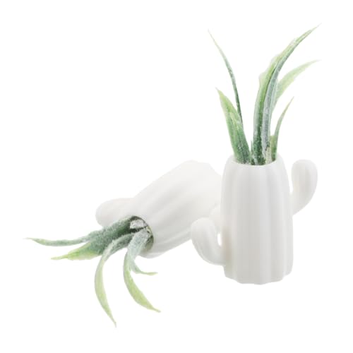 VICASKY 2stücke Miniatur-topfpflanze Für Puppenhäuser Puppenhauszubehör Im Maßstab Sukkulententopf Minipflanzen Miniatur-Blumen Künstliche Pflanzen Puppenhausdekoration von VICASKY