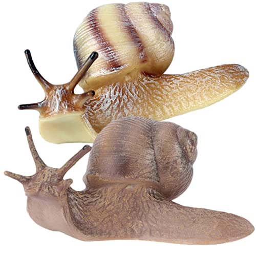 VICASKY 2Stücke Simulation Schnecke Figurine Realistisches Schneckenmodell aus Kunststoff Dekorationsfigur für Garten und Kinderbildung Spielzeug für Jungen und Mädchen VICASKY 2Stücke Simulation Schnecke Figurine Realistisches Schneckenmodell aus Kunststoff Dekorationsfigur für Garten und Kinderbildung Spielzeug für Jungen und Mädchen von VICASKY