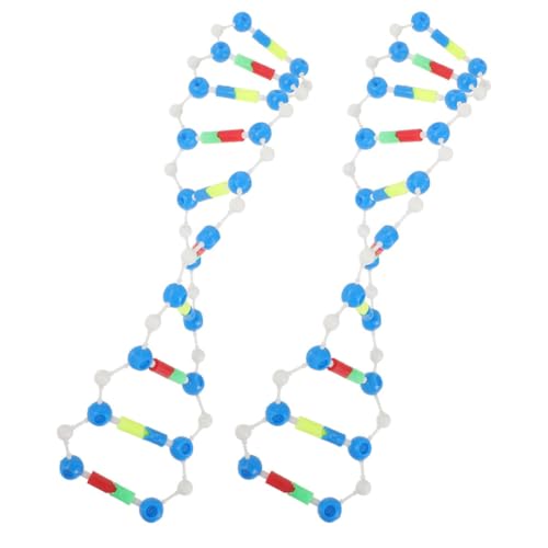 VICASKY 2stücke Teiliges DNA-doppelhelix-Modell Für Biologieunterricht Pädagogisches Molekülmodell Für Schüler Und Studenten Für Wissenschaftliche Projekte Und Experimente VICASKY 2stücke Teiliges DNA-doppelhelix-Modell Für Biologieunterricht Pädagogisches Molekülmodell Für Schüler Und Studenten Für Wissenschaftliche Projekte Und Experimente von VICASKY