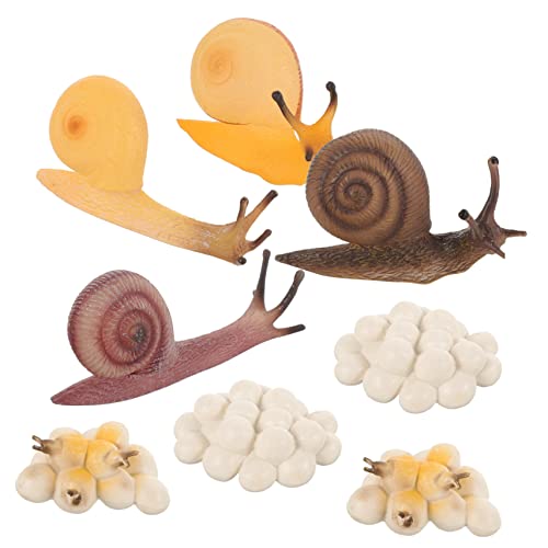 VICASKY 2Sätze Schneckenwachstumsmodell Lernspielzeug Für Kleinkinder Educational Snail Cycle Toys Cartoon Schnecken Modelle Für Insektenlebenszyklus Und Kindgerechtes von VICASKY