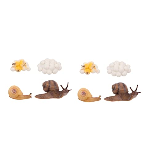 VICASKY 2Sätze Wachstumszyklus Dekorationsset Für Kreatives Lernspielzeug Mit Schnecken Thema Teiliges Frühkindlichen Bildung Und Kreativität von VICASKY