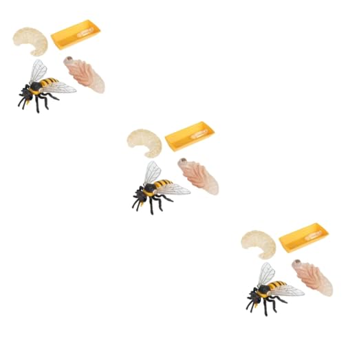 VICASKY 3 Sätze Simulation Bienen Lebenszyklus Modellspielzeug Teiliges Kunststoff Lernspielzeug für Naturwissenschaft Bildung und Kognitive Entwicklung von VICASKY