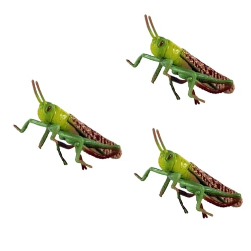 VICASKY 3 Stck. Realistisches Kunststoff Heuschrecken Modell Figur Naturwissenschaft Lernspielzeug Robust Leicht und Sicher für Pädagogische Zwecke von VICASKY