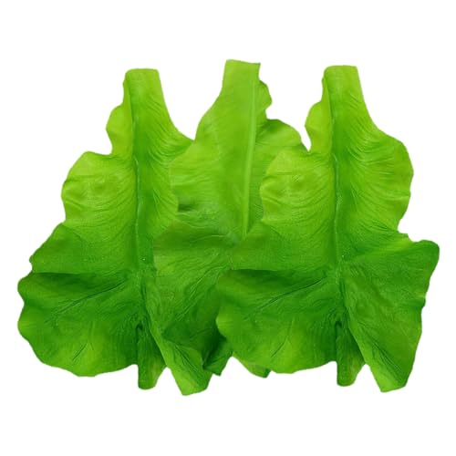 VICASKY 3St Salatblattmodell künstliche Blumen grüne deko künstliche Pflanzen Kunstpflanzen Kunstliche Pflanzen falsches Salatblatt lebensechtes Salatblatt Plastik Green VICASKY 3St Salatblattmodell künstliche Blumen grüne deko künstliche Pflanzen Kunstpflanzen Kunstliche Pflanzen falsches Salatblatt lebensechtes Salatblatt Plastik Green von VICASKY
