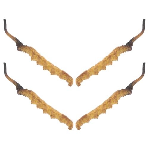 VICASKY 4-teiliges Realistisches Cordyceps-Modell – Perfekt Für Die Dekoration Chinesischer Apotheken Und Als Arztkoffer VICASKY 4-teiliges Realistisches Cordyceps-Modell – Perfekt Für Die Dekoration Chinesischer Apotheken Und Als Arztkoffer von VICASKY
