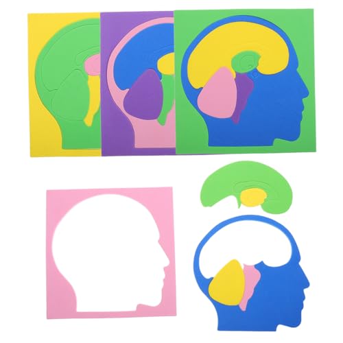 VICASKY Pädagogisches Puzzle-Spielzeug Mit Dem Menschlichen Gehirnmodell 4-teilig Montessori-Puzzle Für Kinder Formspiel Für Spielzeug von VICASKY