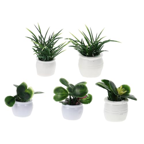 VICASKY 5 Stück Puppenhaus Topfpflanze Puppenhauszubehör Mini Topf Miniatur Mini Feenfiguren Miniatur Pflanzen Töpfe Pflanzen Und Blumen Miniaturen Puppenhäuser Pflanze Bonsai Kunststoff von VICASKY