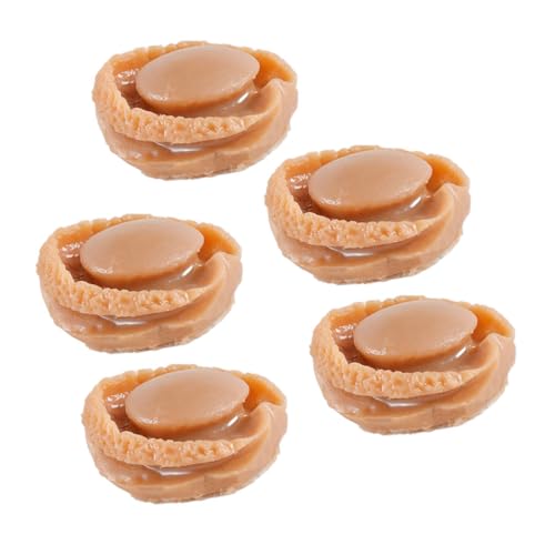 VICASKY Miniatur-lebensmittelspielzeug 5 Stück Mini-Abalone-Modelle Rollenspiel-Spielzeug Für Kinder VICASKY Miniatur-lebensmittelspielzeug 5 Stück Mini-Abalone-Modelle Rollenspiel-Spielzeug Für Kinder von VICASKY