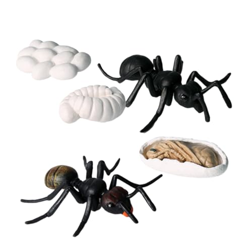 VICASKY 5 Teiliges Set Aus Künstlichen Ameisenmodellen Simulationsspielzeug Für Ideales Lernspielzeug Zur Veranschaulichung des Ameisenwachstums Perfekt Für Zuhause Und Kindergarten VICASKY 5 Teiliges Set Aus Künstlichen Ameisenmodellen Simulationsspielzeug Für Ideales Lernspielzeug Zur Veranschaulichung des Ameisenwachstums Perfekt Für Zuhause Und Kindergarten von VICASKY