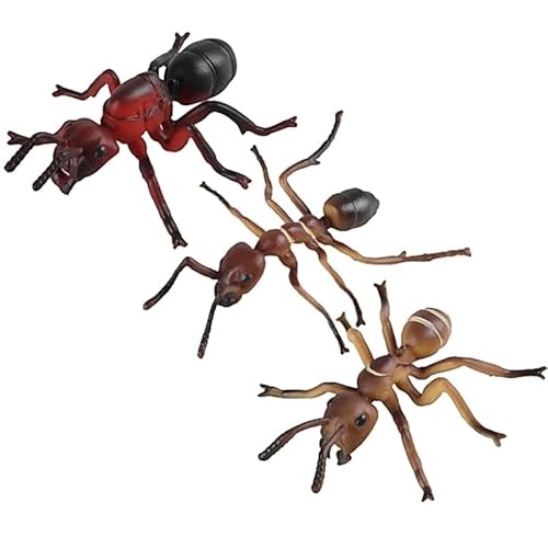 VICASKY 6 STK simulierte Ameisen wohnzimmerdeko miniaturen Figuren realistisches Spielzeug Desktop-Ornament Ameisenjunge spielzeuge dekorative Ameise Miniatur-Ameisenfiguren Plastik von VICASKY