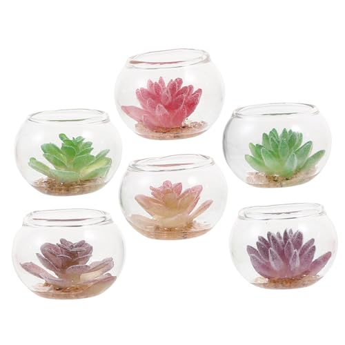 VICASKY 6 Stück Miniatur Puppenhaus Pflanzen Teilig aus Robustem Glas mit Bunten Sukkulenten und Bonsai Modellen Kleine Topfpflanzen Dekoration für Mini Garten und Puppenhaus Zubehör von VICASKY