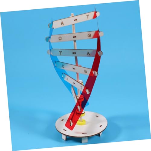 VICASKY DIY DNA Modell Bausatz Doppelhelix Lernspielzeug für Klassenzimmer Lehrmittel Genetik Wissenschaftliches Unterrichtsmaterial Pädagogisch Anschaulich von VICASKY