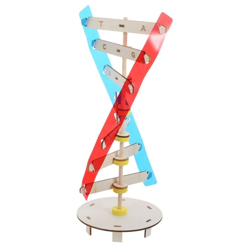 VICASKY Kunststoff DNA Modell für Kinder Wissenschaftliches Doppelhelix Modell Lehrinstrument für Pädagogisches Molekülmodell Lernspielzeug für VICASKY Kunststoff DNA Modell für Kinder Wissenschaftliches Doppelhelix Modell Lehrinstrument für Pädagogisches Molekülmodell Lernspielzeug für von VICASKY
