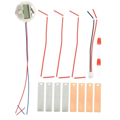 VICASKY DIY Fruchtbatterie Experimentierset mit Elektronischer Uhr Pädagogisches Lernspielzeug für Schüler Wissenschaftliches Obstbatterie Kit zum Stromerzeugen Sicherer Metallaufbau für von VICASKY