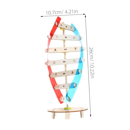 VICASKY DNA Modell Holz DIY Bausatz Lehrmodell Doppelhelix Biologie Unterrichtsrequisit Anschauliches Molekulares Lernspielzeug für Schüler und Wissenschaftsinteressierte VICASKY DNA Modell Holz DIY Bausatz Lehrmodell Doppelhelix Biologie Unterrichtsrequisit Anschauliches Molekulares Lernspielzeug für Schüler und Wissenschaftsinteressierte von VICASKY