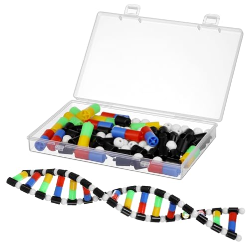 VICASKY Doppelhelix-Modell Projekt Gehirnmodell Bausatz Chromosomenspielzeug DNA-Strukturmodell Molekulares Strukturmodell Molekülmodell Biologie- DNA-Modell Plastik von VICASKY