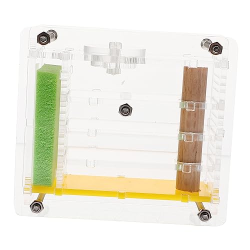 VICASKY Wissenschaftsspielzeug – Ameisennistkasten Acryl Haustier Lernset Für Kinder Ameisenbeobachtung VICASKY Wissenschaftsspielzeug – Ameisennistkasten Acryl Haustier Lernset Für Kinder Ameisenbeobachtung von VICASKY