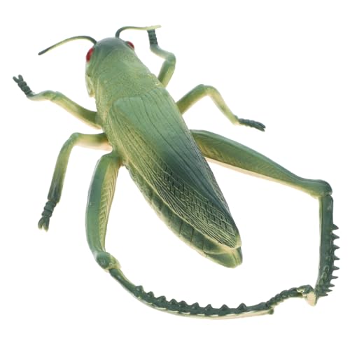 VICASKY Große Grüne Heuschrecken Figuren Kunststoff Realistische Insekten Spielzeuge Für Lernspielzeug Für Vorschule Und Kindergarten Outdoor Spielset von VICASKY