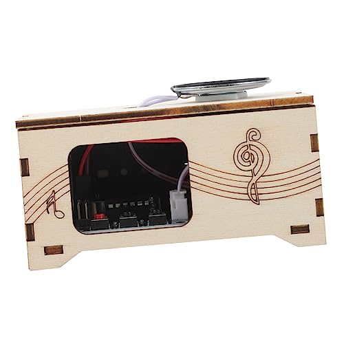 VICASKY Holz DIY Phonograph Handgefertigter Musik Recorder für Wissenschaftsexperiment und Kreative Unterhaltung Tragbar und Leicht Experimentanleitung zur Erkundung von und Akustik von VICASKY
