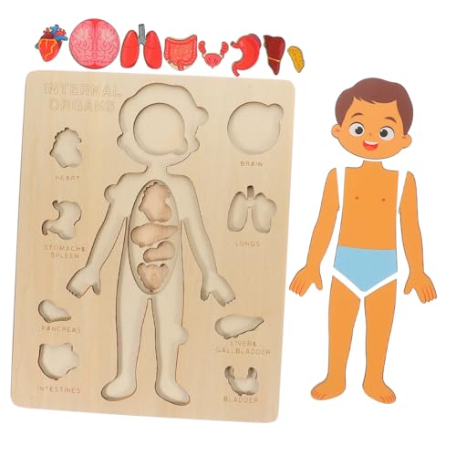 VICASKY Holzpuzzle Für Lernspielzeug Zur Anatomie des Menschlichen Körpers 1 Set Mit Körperorganen Ideales Frühkindliches Bildungs Für Jungen Und ädchen Ab 3 Jahren VICASKY Holzpuzzle Für Lernspielzeug Zur Anatomie des Menschlichen Körpers 1 Set Mit Körperorganen Ideales Frühkindliches Bildungs Für Jungen Und ädchen Ab 3 Jahren von VICASKY