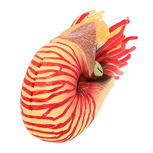 VICASKY Kunststoff Nautilus Modell Simuliertes Meereslebewesen Detailreiche Dekoration für Aquarien Lernspielzeug für Kognitiven Fähigkeiten von VICASKY
