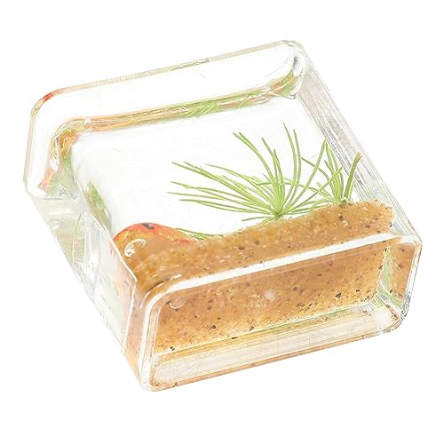 VICASKY Mikrolandschaft Goldfischbecken Modell Mini Harz Aquarium Miniatur Aquarium Spielzeug Winzige Spielzeuge Kleines Aquarium Mini Dekorationen Mini Aquarium VICASKY Mikrolandschaft Goldfischbecken Modell Mini Harz Aquarium Miniatur Aquarium Spielzeug Winzige Spielzeuge Kleines Aquarium Mini Dekorationen Mini Aquarium von VICASKY