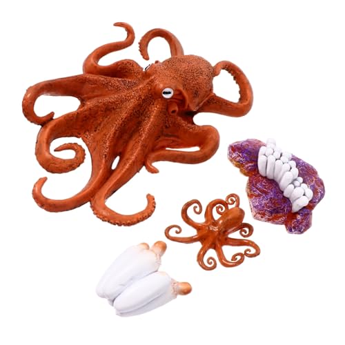 VICASKY Mini Meerestiere Realistische Simulation Umweltfreundliche Meeres Tierfiguren für Fördert Kreativität und Naturverständnis als Bildungs und Dekorationsspielzeug von VICASKY