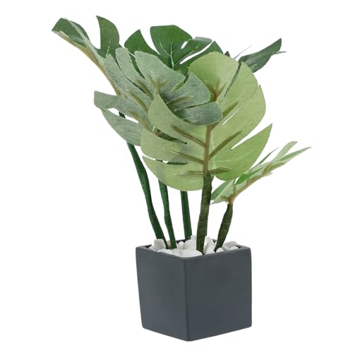 VICASKY Meiest Miniatur Bonsai Pflanze Für Puppenhaus Realistisches Pottpflanzen Ornament Für Dekoration Ideal Für Miniatur Szenen Und Puppenhaus Zubehör Black Pot Kunstpflanze Bonsai VICASKY Meiest Miniatur Bonsai Pflanze Für Puppenhaus Realistisches Pottpflanzen Ornament Für Dekoration Ideal Für Miniatur Szenen Und Puppenhaus Zubehör Black Pot Kunstpflanze Bonsai von VICASKY