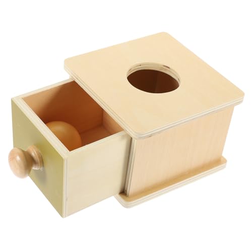 VICASKY Montessori Objektpermanenz Box Holzspielzeug Pädagogisches Lernspielzeug Ab Jahr Motorisches Denken Farbenerkennung Robust Langlebig für Elterninteraktion von VICASKY