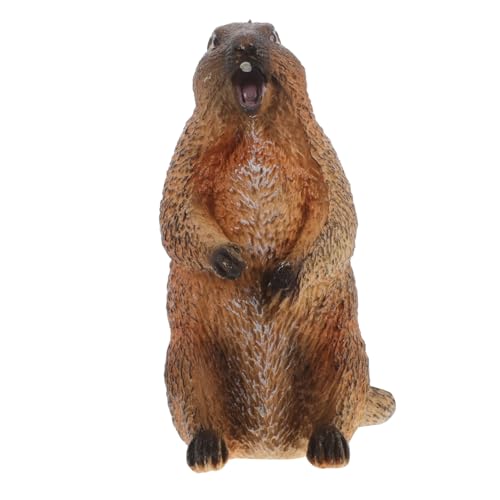 VICASKY Murmeltier Modell Babyspielzeug Haushaltswaren Garten Künstliches Tier Erkenntnisspielzeug Welpenfigur Tiermodell Kleine Wildtierfiguren Tierornament von VICASKY
