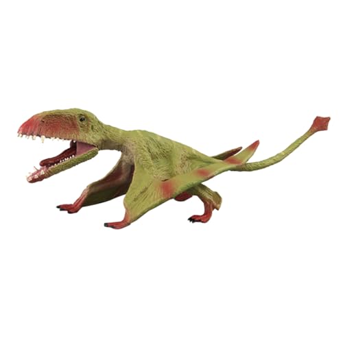 VICASKY Pterodactyl Modell Kunststoff Dinosaurier Figur Detaillierte Flugsaurier Nachbildung Umweltfreundlich Robustes Dekorationsspielzeug Für Erwachsene von VICASKY