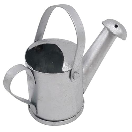 VICASKY Puppenhaus Zubehör Kleine Wasserkanne für Miniaturgärten Blumentöpfe und Dekoration Stabile Handwerkskunst Geeignet für Puppenhaus und Kreative Bastelprojekte VICASKY Puppenhaus Zubehör Kleine Wasserkanne für Miniaturgärten Blumentöpfe und Dekoration Stabile Handwerkskunst Geeignet für Puppenhaus und Kreative Bastelprojekte von VICASKY