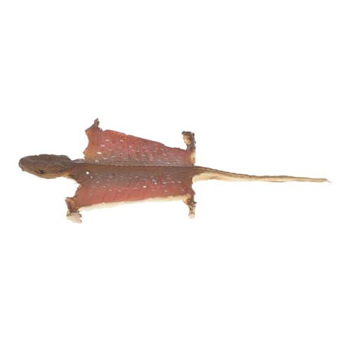 VICASKY Realistische Gecko Figurine Kunststoffmodell Halloween Dekoration Reptilien Skulptur für Garten Innenbereich Fotografie und Streich Requisit von VICASKY