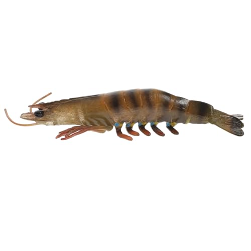 VICASKY Realistisches Garnelenmodell aus Hochwertigem Kunststoff Pädagogisches Lernspielzeug und Dekorative Figur für Langlebig und Detailgetreu als für Spiel und Lernzwecke von VICASKY