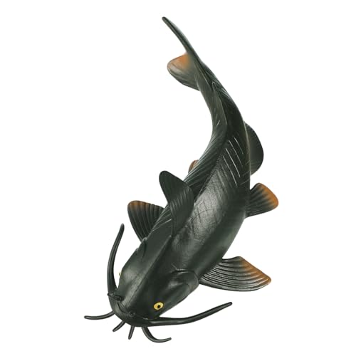 VICASKY Realistisches Katzenfisch Modell Pädagogisches Kunststoffspielzeug Für Kognitives Lernspielzeug Imitation Von üßwasserfischen Ideal Für Frühe Bildung Und Dekoration von VICASKY