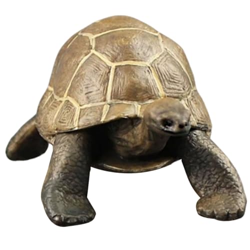 VICASKY Realistisches Schildkrötenmodell aus Robustem PVC Naturgetreue Deko und Lernspielzeug für Geeignet für Schulprojekte Meeres Themenpartys und Geschenkideen von VICASKY