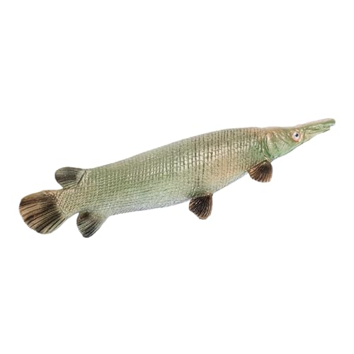 VICASKY Realistisches Tropisches Fischmodell aus Solidem Kunststoff Pädagogisches Meeres tierspielzeug mit Detailgetreuer Alligator Figur Sicheres Lernspielzeug für Jungen und Mädchen VICASKY Realistisches Tropisches Fischmodell aus Solidem Kunststoff Pädagogisches Meeres tierspielzeug mit Detailgetreuer Alligator Figur Sicheres Lernspielzeug für Jungen und Mädchen von VICASKY