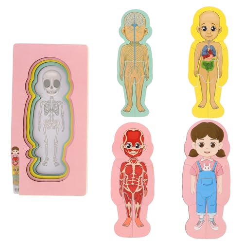 VICASKY Montessori-Spielzeug Für Kleinkinder Anatomie-Puzzle des Menschlichen Körpers Lernspielzeug Für Kinder Holz-Baby-Puzzle Frühes Lernspielzeug Für Mädchen VICASKY Montessori-Spielzeug Für Kleinkinder Anatomie-Puzzle des Menschlichen Körpers Lernspielzeug Für Kinder Holz-Baby-Puzzle Frühes Lernspielzeug Für Mädchen von VICASKY