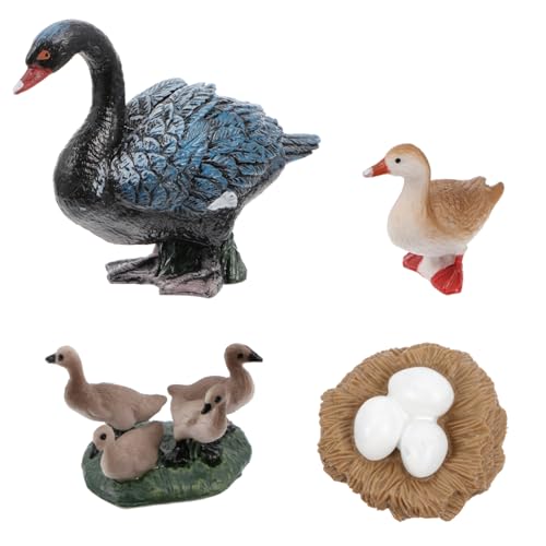 VICASKY Schwarzes Wachstumszyklus Modell Teiliges Pädagogisches Lernspielzeug für Lebensecht Gestaltete Display Figuren für Frühkindliche Entwicklung und Dekoration VICASKY Schwarzes Wachstumszyklus Modell Teiliges Pädagogisches Lernspielzeug für Lebensecht Gestaltete Display Figuren für Frühkindliche Entwicklung und Dekoration von VICASKY