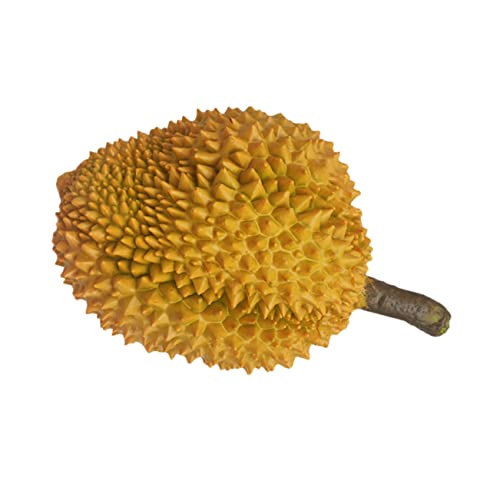 VICASKY Künstlicher Durian Frucht Dekorationsprop Realistisches Modell Für Home Decoration Bildungszwecke Und Fotografie Mittlere VICASKY Künstlicher Durian Frucht Dekorationsprop Realistisches Modell Für Home Decoration Bildungszwecke Und Fotografie Mittlere von VICASKY