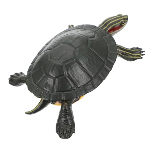 VICASKY Simulation Schildkröte Modellspielzeug Für Kognitive Entwicklung Langlebiges Kunststoffmaterial Lernspielzeug Und Dekoratives Element Für Spielstunden von VICASKY