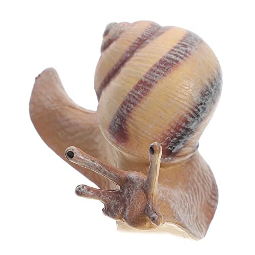 VICASKY Simulation Schneckenfigur Realistische Tierfigur für Lernspielzeug und Dekoration für Pädagogische Modelle und Kreative Spielideen von VICASKY
