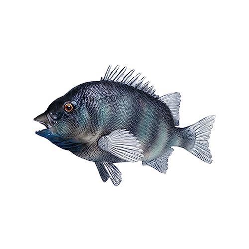 VICASKY Simulation Steinfisch Plastikfisch Modell Tiere Modell Simulation Meerestier Spielzeug Meerestier Ornament Fisch Modell Spielzeug Meerestier Modell Fisch Spielzeug Gefälschtes VICASKY Simulation Steinfisch Plastikfisch Modell Tiere Modell Simulation Meerestier Spielzeug Meerestier Ornament Fisch Modell Spielzeug Meerestier Modell Fisch Spielzeug Gefälschtes von VICASKY