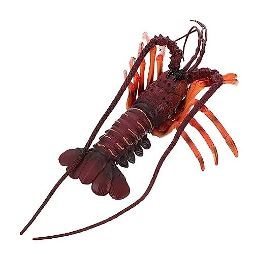 VICASKY Simulierte Hummer Ornamente Hummer Spielzeug Simulation Von Hummer Verzierungen Dekoratives Tiermodell Hummer Modell Tiere Modell Gefälschtes Hummer Spielzeug Kognitives VICASKY Simulierte Hummer Ornamente Hummer Spielzeug Simulation Von Hummer Verzierungen Dekoratives Tiermodell Hummer Modell Tiere Modell Gefälschtes Hummer Spielzeug Kognitives von VICASKY