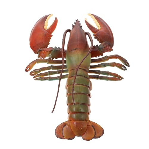 VICASKY Simulierte Meerestier Hummer Figur Realistische Desktop Dekoration Pädagogisches für Meeres Wohnaccessoire VICASKY Simulierte Meerestier Hummer Figur Realistische Desktop Dekoration Pädagogisches für Meeres Wohnaccessoire von VICASKY