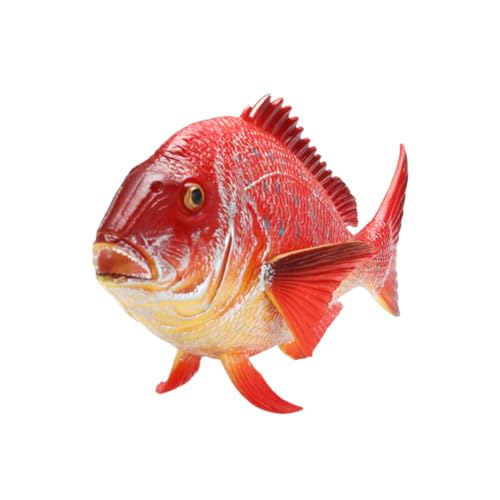 VICASKY Simulierte Tierdekoration Roter Fisch Modell aus Solidem Kunststoff Lebensechte Aquarium Figur Kinderspielzeug Sammeldekor VICASKY Simulierte Tierdekoration Roter Fisch Modell aus Solidem Kunststoff Lebensechte Aquarium Figur Kinderspielzeug Sammeldekor von VICASKY