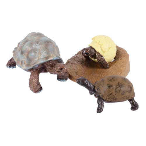 VICASKY Teiliges Tortoisen Lebenszyklus Modell für Pädagogisches Lernspielzeug aus Leichtem Kunststoff Realistische Simulation Praktisches Kognitives Wachstumszyklus von VICASKY