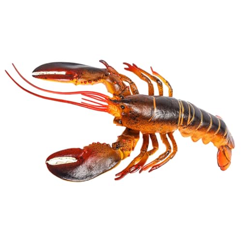 VICASKY Tierfiguren hühner Educational Toys Tiermodell gartendeko rostoptik gefälschte Krabbe künstlicher Hummer Tiere große Hummerdekoration Hummererkennungsmodell Plastik VICASKY Tierfiguren hühner Educational Toys Tiermodell gartendeko rostoptik gefälschte Krabbe künstlicher Hummer Tiere große Hummerdekoration Hummererkennungsmodell Plastik von VICASKY